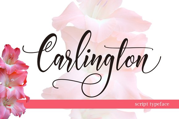 Carlington: The Modern Script Font for Bold Branding