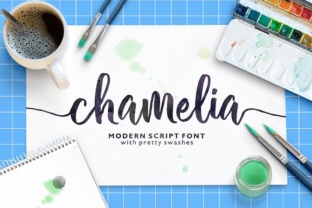 Chamelia Font: Elevating Campaign Visuals with Handwritten Charm