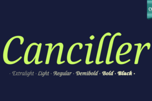 Elevate Your Web Design with Canciller Family Font