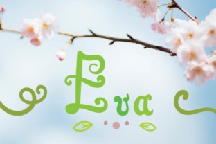 Eva Script Font: Playful Hand-Drawn Type for Crafters