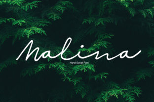 Malina: A Handwritten Script Font for Creative Branding