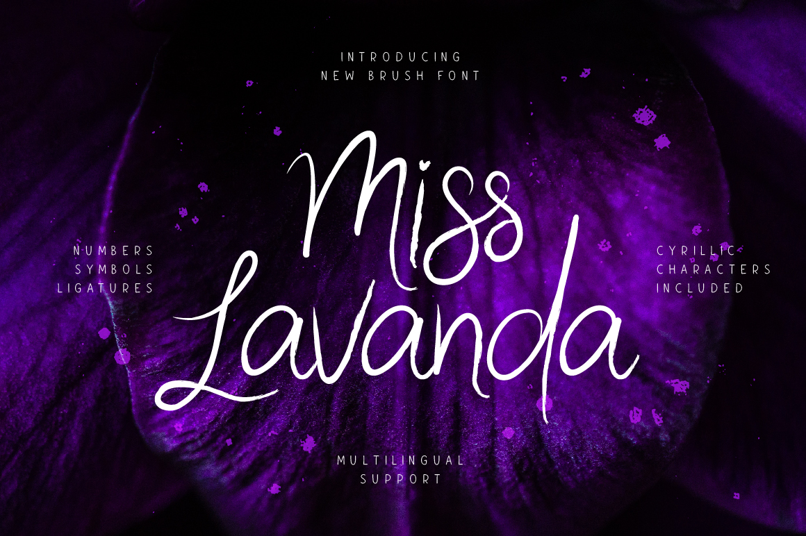 Miss Lavanda Font for Editorial Design and Branding