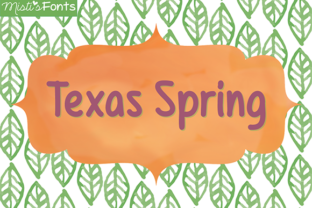 Texas Spring Font: A Web Designer’s Layout Review